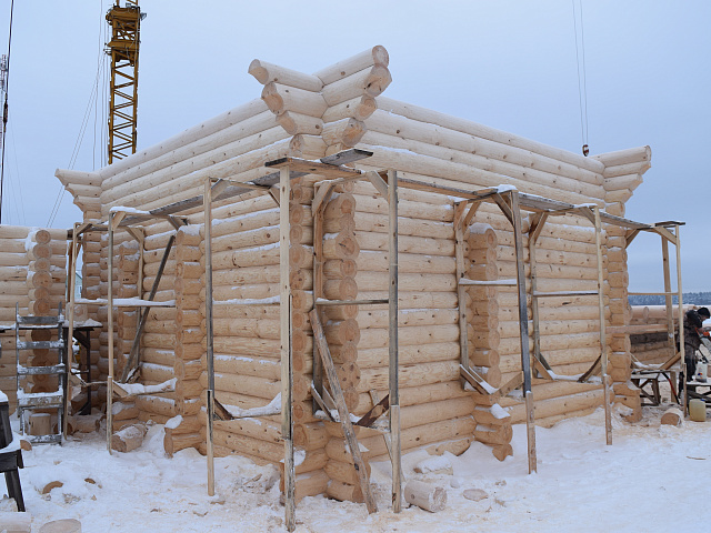 Продолжаем рубку двухэтажного сруба дома из сосны Ø 260 - 280 мм в чашу с замком  индивидуальный проект, Шувое